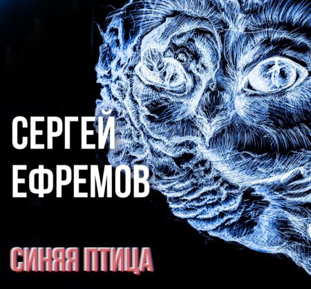 Синяя птица Сергей Ефремов акустика